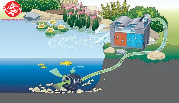 Best koi pond filtration system setup