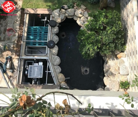 Best koi pond filtration system setup