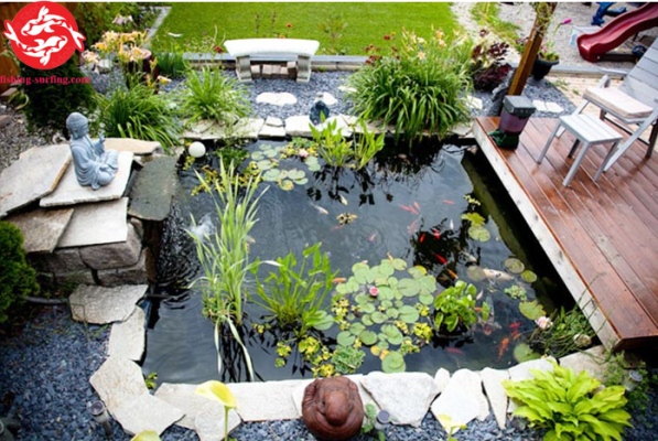 Best koi pond filtration system setup