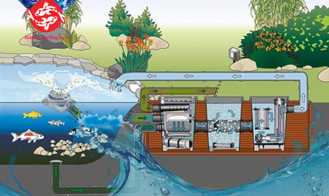 Best koi pond filtration system setup