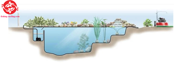 koi pond depth requirements